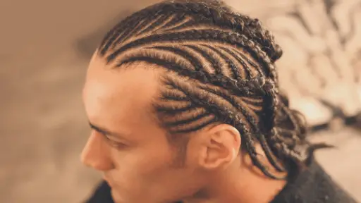braided hairstyles for white men